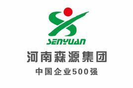 河南森源集團有限公司 河南森源集團有限公司