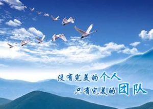 拓展的魅力—團隊精神