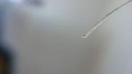 水滴超微距攝影法 水滴超微距攝影法