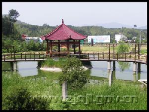 龍泉市鳳陽湖休閒農莊
