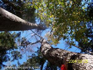 日月峽國家森林公園