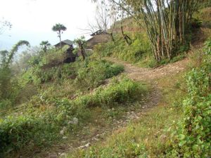 大良子自然村 大良子自然村