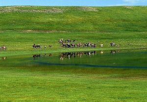 黃花溝旅遊景區 黃花溝旅遊景區