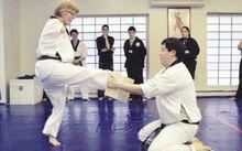 席拉一腳能踢碎厚木板。