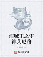 海賊王之雷神艾尼路