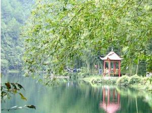 芙蓉谷[安徽黃山風景區芙蓉谷]