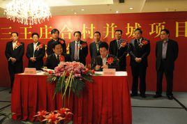 莊合村[河北石家莊市藁城區崗上鎮下轄村]