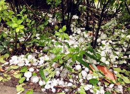 冰雹[天氣現象]