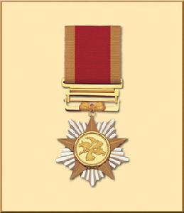 大紫荊勳章 大紫荊勳章