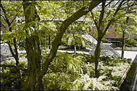 美國凱斯西保留地大學 美國凱斯西保留地大學