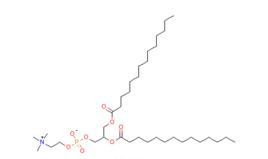二肉豆蔻醯磷脂醯膽鹼(DMPC)