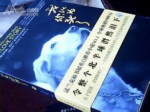 《我以為你死了》 《我以為你死了》