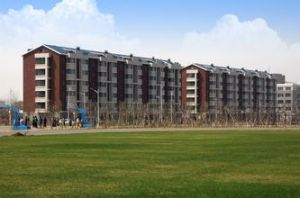 遼寧中醫藥大學杏林學院