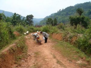 勐主寨自然村 勐主寨自然村