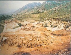 玉皇廟山戎墓遺址 玉皇廟山戎墓遺址