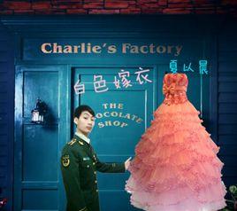 白色嫁衣 白色嫁衣