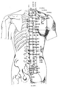 （圖）背腰部腧穴示意圖