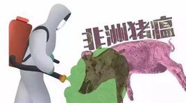 2018年非洲豬瘟疫情 2018年非洲豬瘟疫情