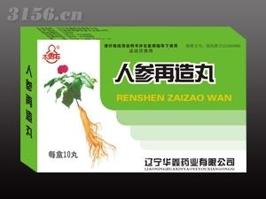 人參養血丸 人參養血丸
