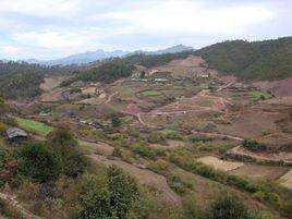 雞子場村 雞子場村