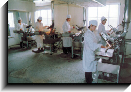 陝西省開凱製藥廠