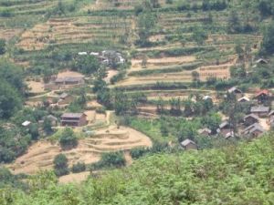 對門自然村 對門自然村