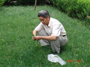 《紫花苜蓿栽培與病蟲草害防治》