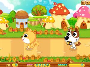 小狗仔跟蹤大明星