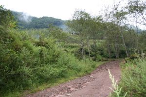 上觀音村 上觀音村