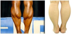肌肉腿（左）和脂肪腿（右）