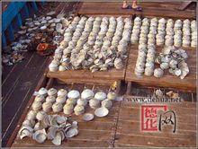 南海Ⅰ號[海上絲綢之路向外運送瓷器時失事的南宋古船]