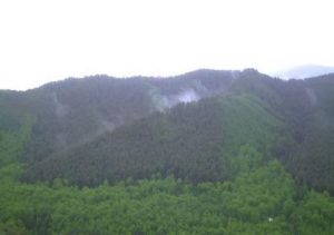 青海省夏群寺森林公園 青海省夏群寺森林公園