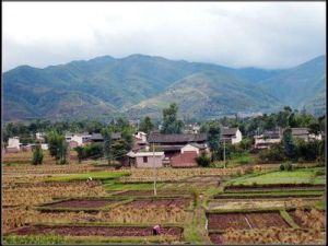 大徐家營村 大徐家營村