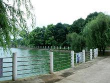 東陽村[江西省蘆溪縣蘆溪鎮轄村]