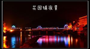 花園鎮2014夜景