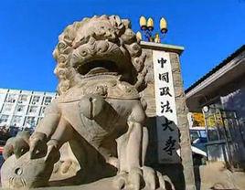 中國政法大學商學院