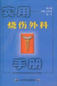 實用燒傷外科手冊 實用燒傷外科手冊