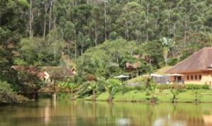 安達西貝-曼塔迪亞國家公園 安達西貝-曼塔迪亞國家公園