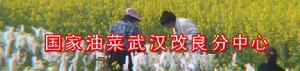 國家油菜武漢改良分中心