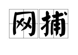 網捕
