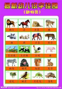 幼兒識字 幼兒識字