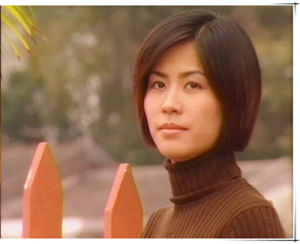 Detective Investigation Files IV