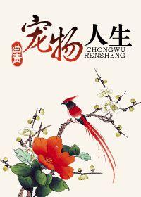 寵物人生 寵物人生