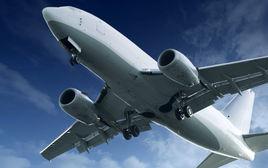 蜂腰式機身 蜂腰式機身