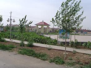 烏蘭圖克鎮 烏蘭圖克鎮