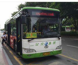 廈門49路 廈門49路