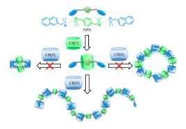 聚合物取向 聚合物取向