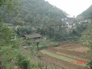 紙廠灣自然村全貌