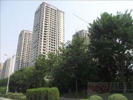 東尚蜂鳥 東尚蜂鳥