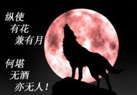 傷感的句子 傷感的句子